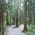 maruyama-park-sapporo-4