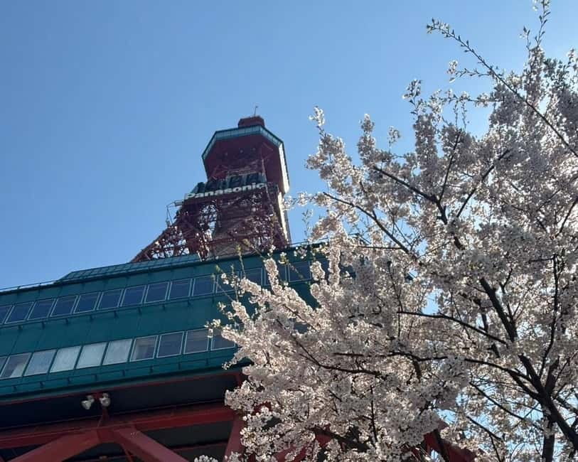 Authentic Sapporo: Nijo Market Seafood Lunch & History Tour - Nijo Market and the seafood lunch