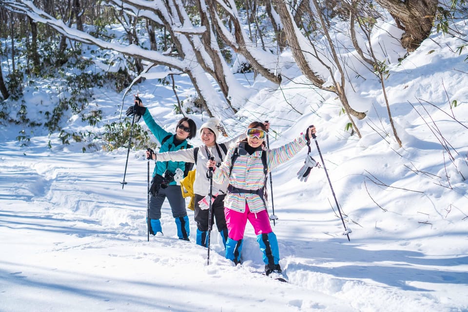 Bamboo Ice Cave: Snowshoe to see a natural phenomenon! - The bamboo ice cave is the main event