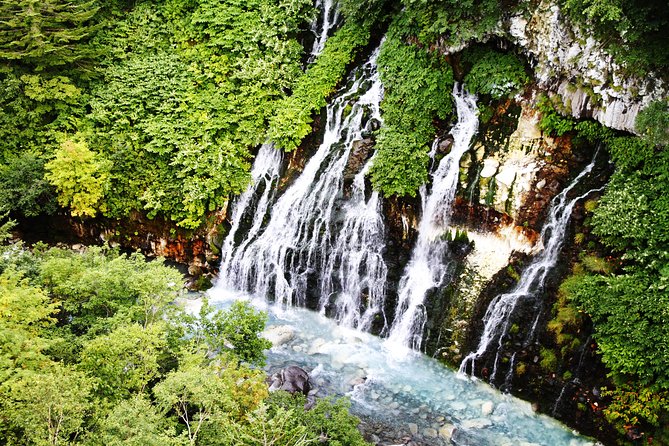 [Biei/Furano] One-day sightseeing by private car! - Lunch at Furano Marche and the middle of the day