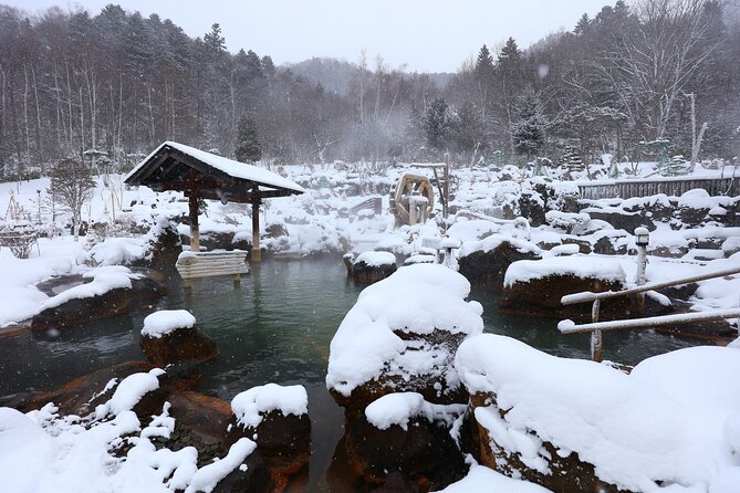 Enjoy snow-covered hot springs with private transport - What your two hours at the onsen are really for