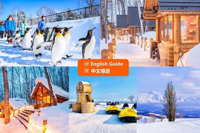 Explore Shikotsu Ice Festival (day tour) - The optional hot spring stop