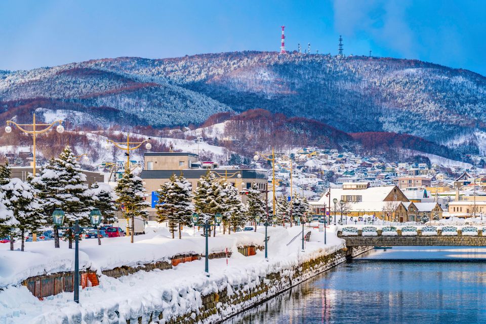 From Sapporo: 10-hour Customized Private Tour to Otaru - Vehicle Size and Comfort for One to Eight People