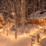 From Sapporo: Biei, Furano or Asahikawa Private Day Tour - From Sapporo to the open country