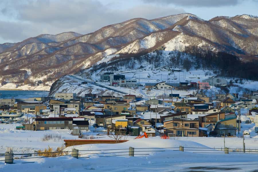From Sapporo: Biei, Furano or Asahikawa Private Day Tour - Ningle Terrace and Furano’s wooded setting