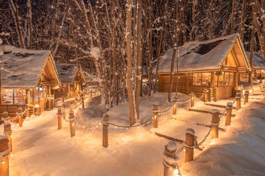 From Sapporo: Biei, Furano or Asahikawa Private Day Tour - From Sapporo to the open country
