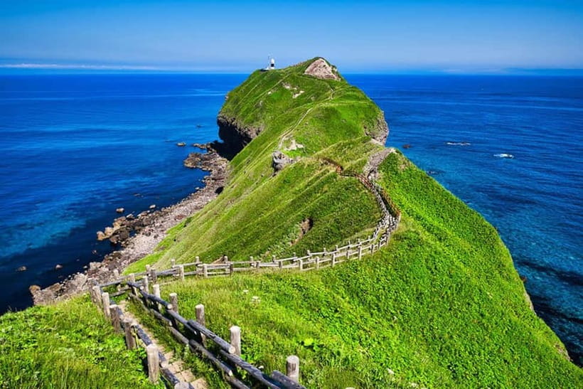 From Sapporo: Hokkaido Highlights Day Trip - Cape Kamui and the Shakotan Blue Coast