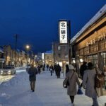 From Sapporo: Private Customized Day Tour to Otaru - Hokkaido Shrine as a smart morning option