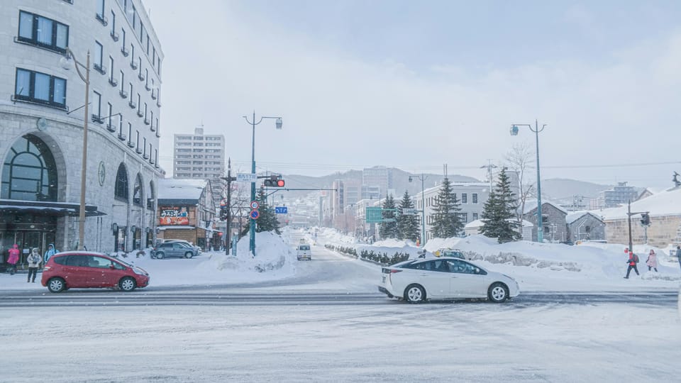 From Sapporo: Private Customized Day Tour to Otaru - Vehicle size, passengers, and luggage