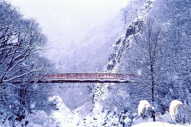 Full Day Private Skiing / Snowboarding Tour in Sapporo - A 10 a.m. to 5 p.m. snow day