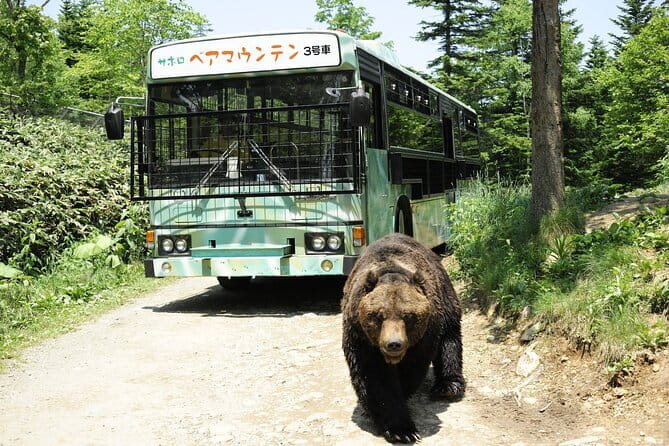 Full Day Tour in Hokkaido and Lake Toya from Sapporo - The shared vehicle and the price of convenience