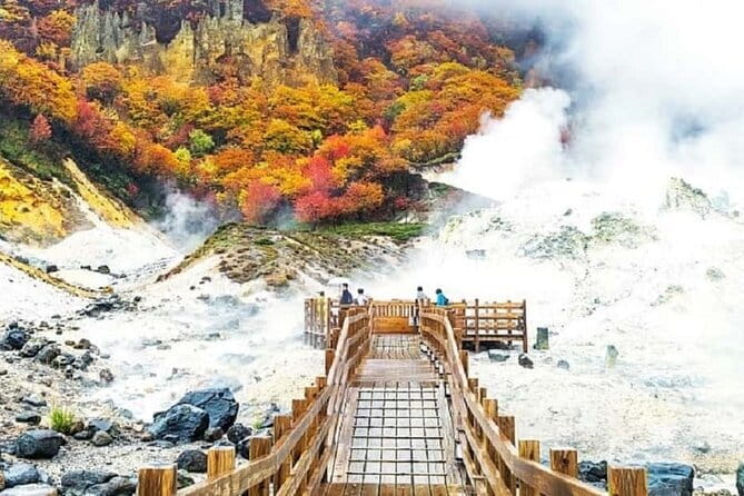 Full Day Tour in Hokkaido and Lake Toya from Sapporo - Showa Shinzan: a mountain born within living memory