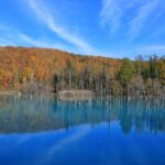 Furano Biei Tour Sapporo DEP: English Speaking Driver, No Guide - The long road from Sapporo to Furano and Biei
