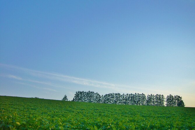 Furano Biei Tour Sapporo DEP: English Speaking Driver, No Guide - Furano Wine Factory for a local taste of the region