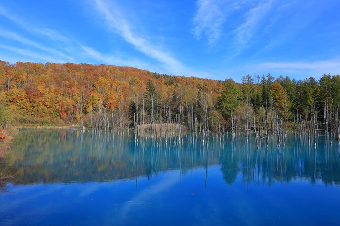 Furano Biei Tour Sapporo DEP: English Speaking Driver, No Guide - The long road from Sapporo to Furano and Biei