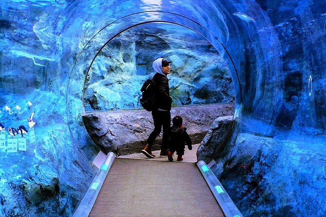 Hokkaido Asahiyama Zoo, Furano and Biei Bus Tour - Two service areas and a lot of road time