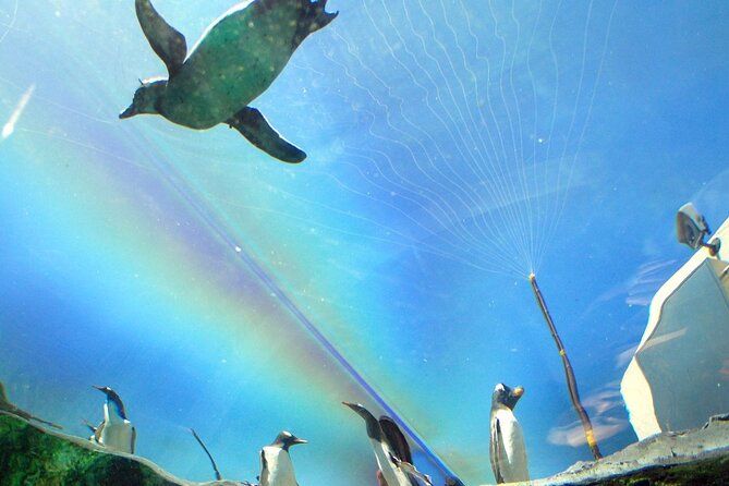 Hokkaido Asahiyama Zoo, Furano and Biei Bus Tour - Weather, traffic, and seasonal limits
