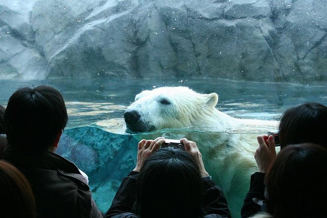 Hokkaido Asahiyama Zoo, Furano and Biei Bus Tour - Blue Pond, Biei, and the power of one color