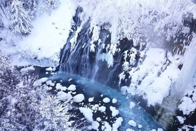 Hokkaido Day Tour from Sapporo: Asahiyama Zoo, Blue Pond Japan - Guides, language, and the group setting