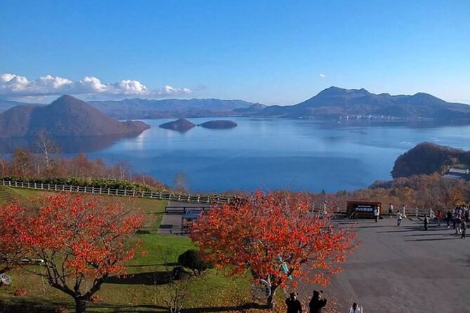 Hokkaido Day Tour from Sapporo: with Bear Park Option - What the bus setup means for your day
