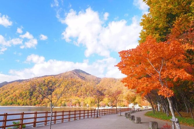 Hokkaido Day Tour from Sapporo: with Bear Park Option - Is $113 a fair price for this route?