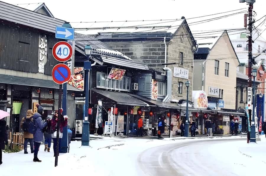 Hokkaido, Sappro, Otaru & Cape Kamui One-day Tour - Winter turns the day into a snow outing