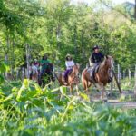 Horseback-Riding in a Country Side in Sapporo - Private Transfer is Included - A playful Western setting before you mount