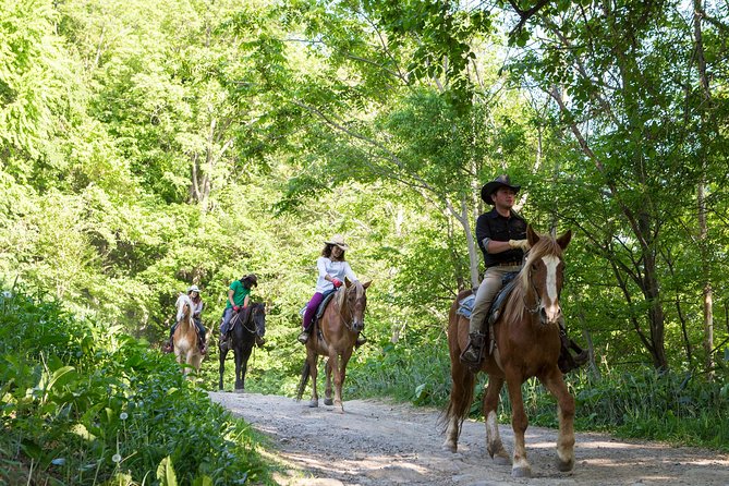 Horseback-Riding in a Country Side in Sapporo - Private Transfer is Included - From Sapporo hotel to rural Mustang Town
