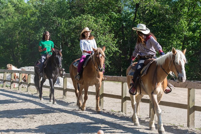 Horseback-Riding in a Country Side in Sapporo - Private Transfer is Included - Orchard paths, forest shade, and the eight-peaked mountain