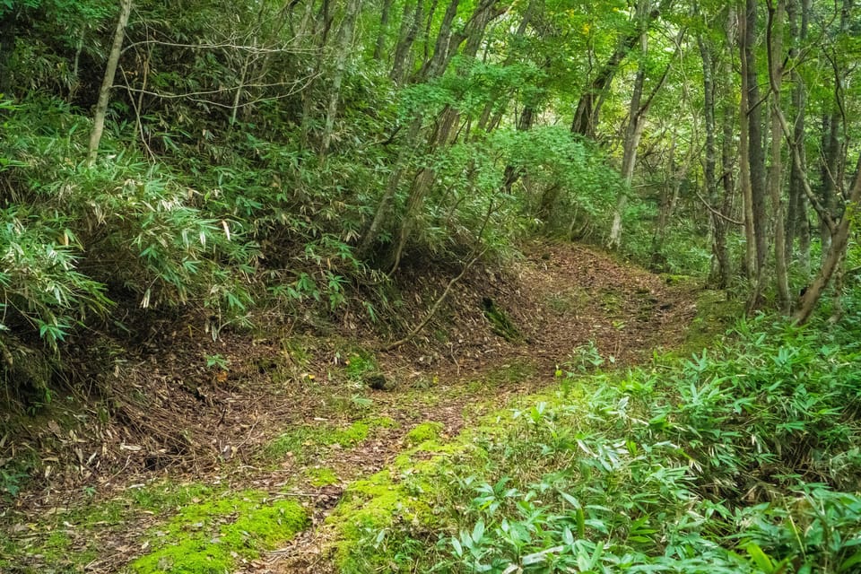 Lake Tachibana: Hike to a hidden lake! - Key points before you book