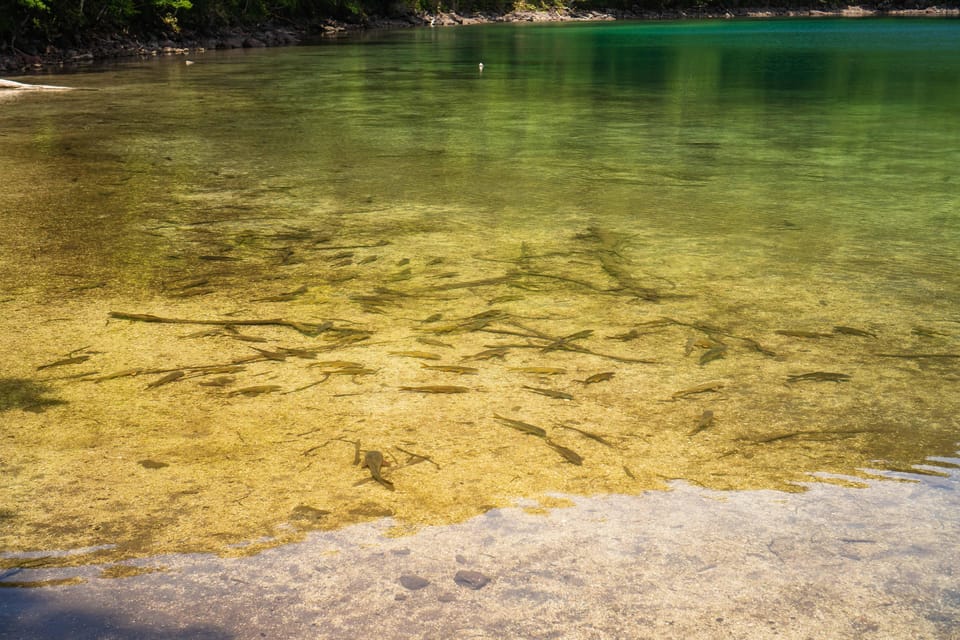 Lake Tachibana: Hike to a hidden lake! - Is $96 a fair price?