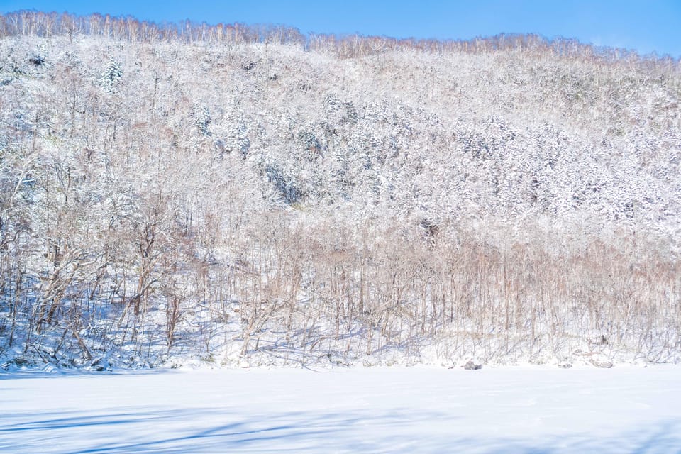 Lake Tachibana: Snowshoe to a frozen lake! - Key points to know before you book