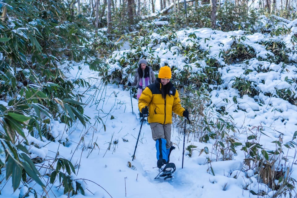 Lake Tachibana: Snowshoe to a frozen lake! - Morning or afternoon?