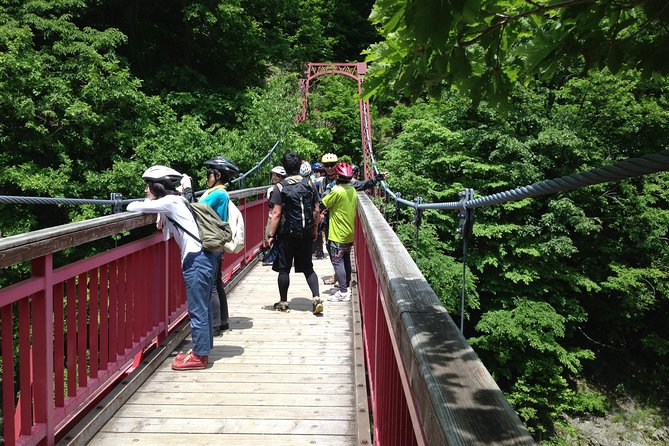 Mountain Bike Tour from Sapporo Including Hoheikyo Onsen and Lunch - Curry, naan, and an unexpectedly good lunch