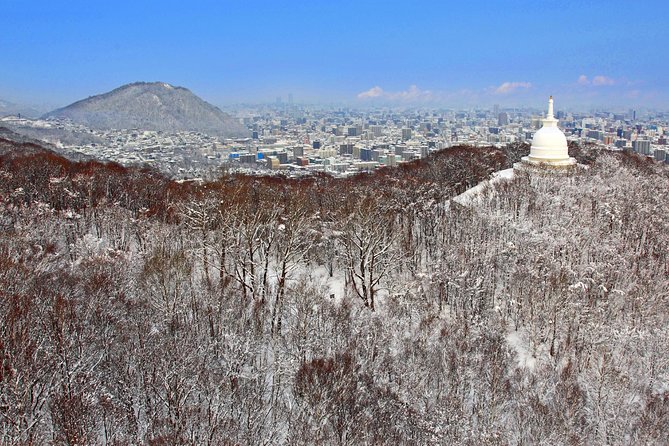 Mt. Moiwa Ropeway / Moriscar Ticket - The paper ticket and booking question