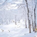Noboribetsu: Orofure Pass Snowshoeing Tour - The drive from Noboribetsu to the snow