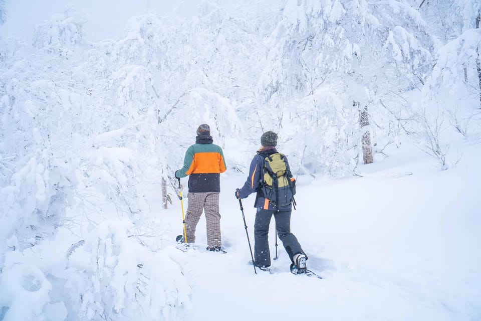 Noboribetsu: Orofure Pass Snowshoeing Tour - Why Orofure Pass is worth the half-day