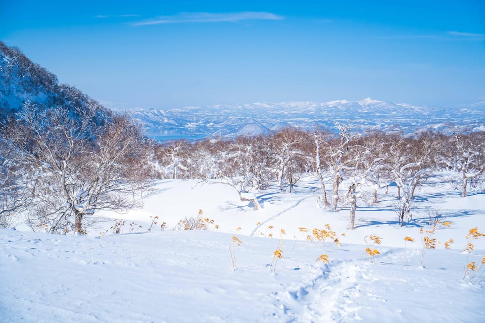 Noboribetsu: Orofure Pass Snowshoeing Tour - Through the forest to the snow monsters