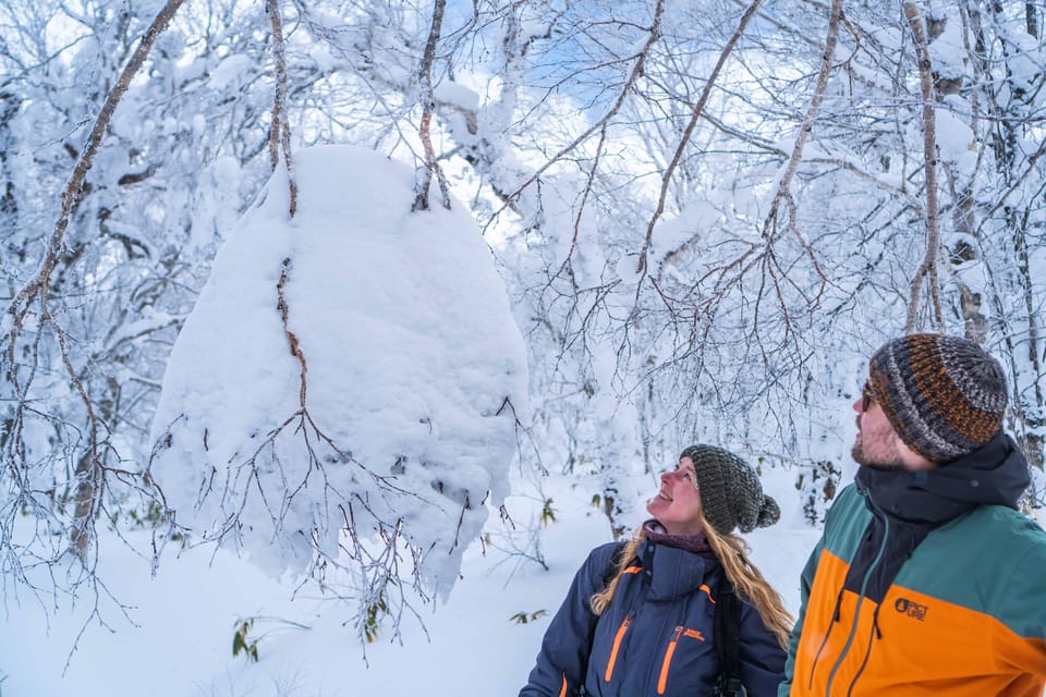 Noboribetsu: Orofure Pass Snowshoeing Tour - Who will enjoy this tour most