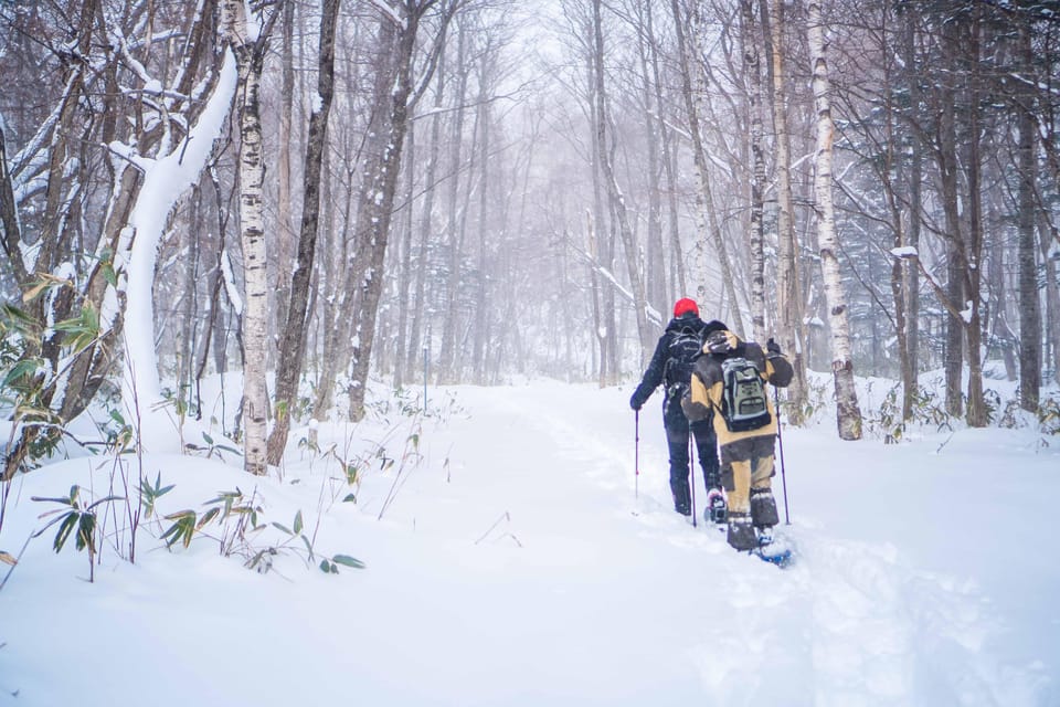 Noboribetsu: Snowshoe trip to Ice Caves - Should you book the ice cave snowshoe trip?