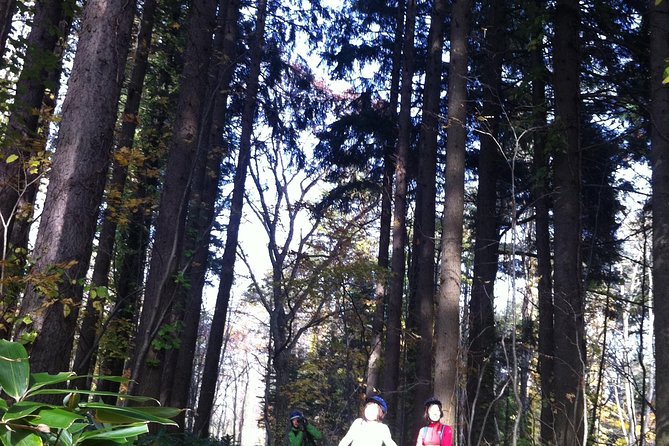 Nopporo Forest Mountain Bike Tour from Sapporo, presenting a retro Cycle cap - From Sapporo to Nopporo Forest Park