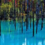 Private Car Tour of Furano and Biei in Hokkaido with Local Guide - Shikisai no Oka: a seven-hectare hill of changing color