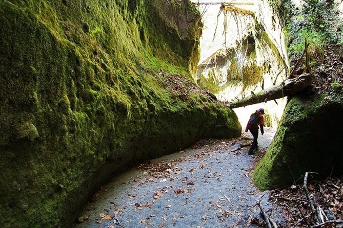 Private Day Trip of Lake Shikotsu and Moss Canyon - Key points to know