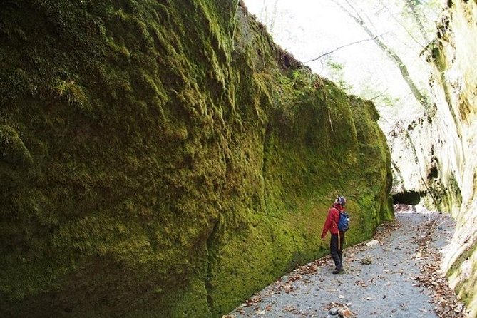 Private Day Trip of Lake Shikotsu and Moss Canyon - Lake Shikotsu and its volcanic setting