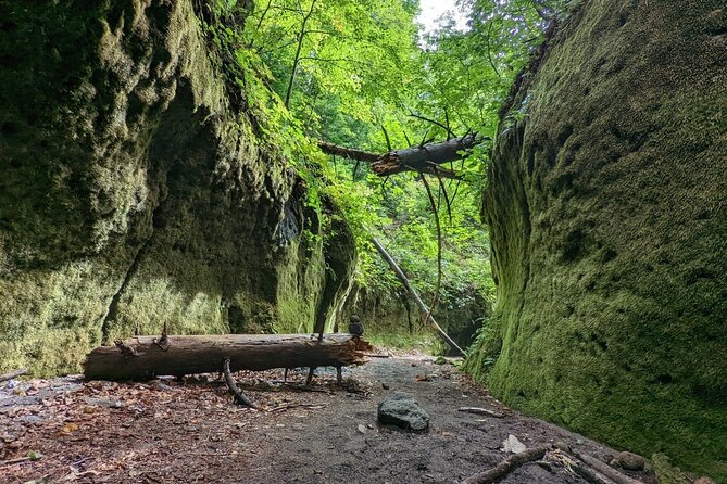 Private Day Trip of Lake Shikotsu and Moss Canyon - What the guide adds to the day