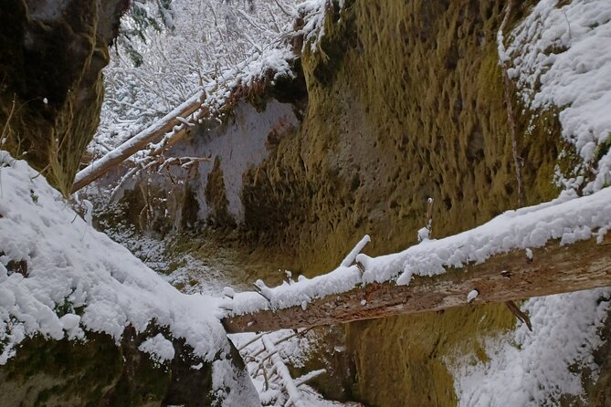 Private Day Trip of Lake Shikotsu and Moss Canyon - Is $247.58 per person a fair price?