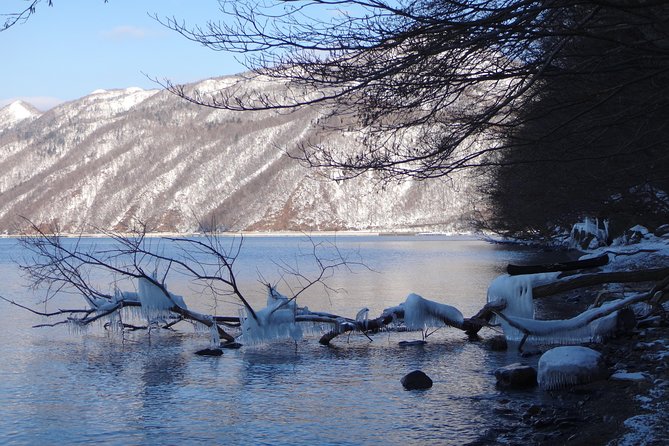 Private Day Trip of Lake Shikotsu and Moss Canyon - Who will get the most from this private outing?