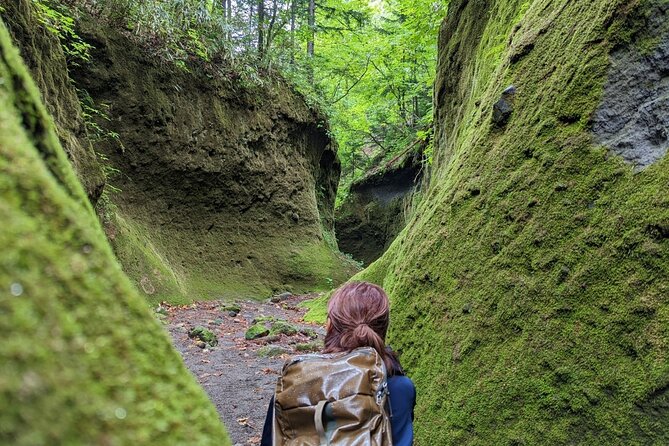 Private Day Trip of Lake Shikotsu and Moss Canyon - A useful 15 minutes at the visitor center