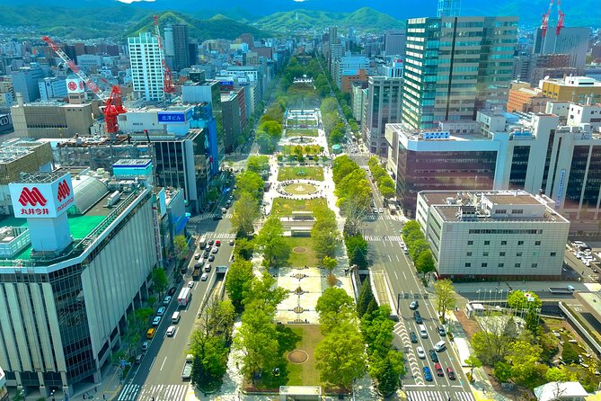 Sapporo Afternoon Walking Tour 2h 30mins - Sapporo TV Tower for the best city view