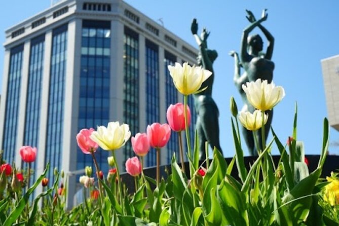 Sapporo Afternoon Walking Tour 2h 30mins - Tanukikoji is the practical finish